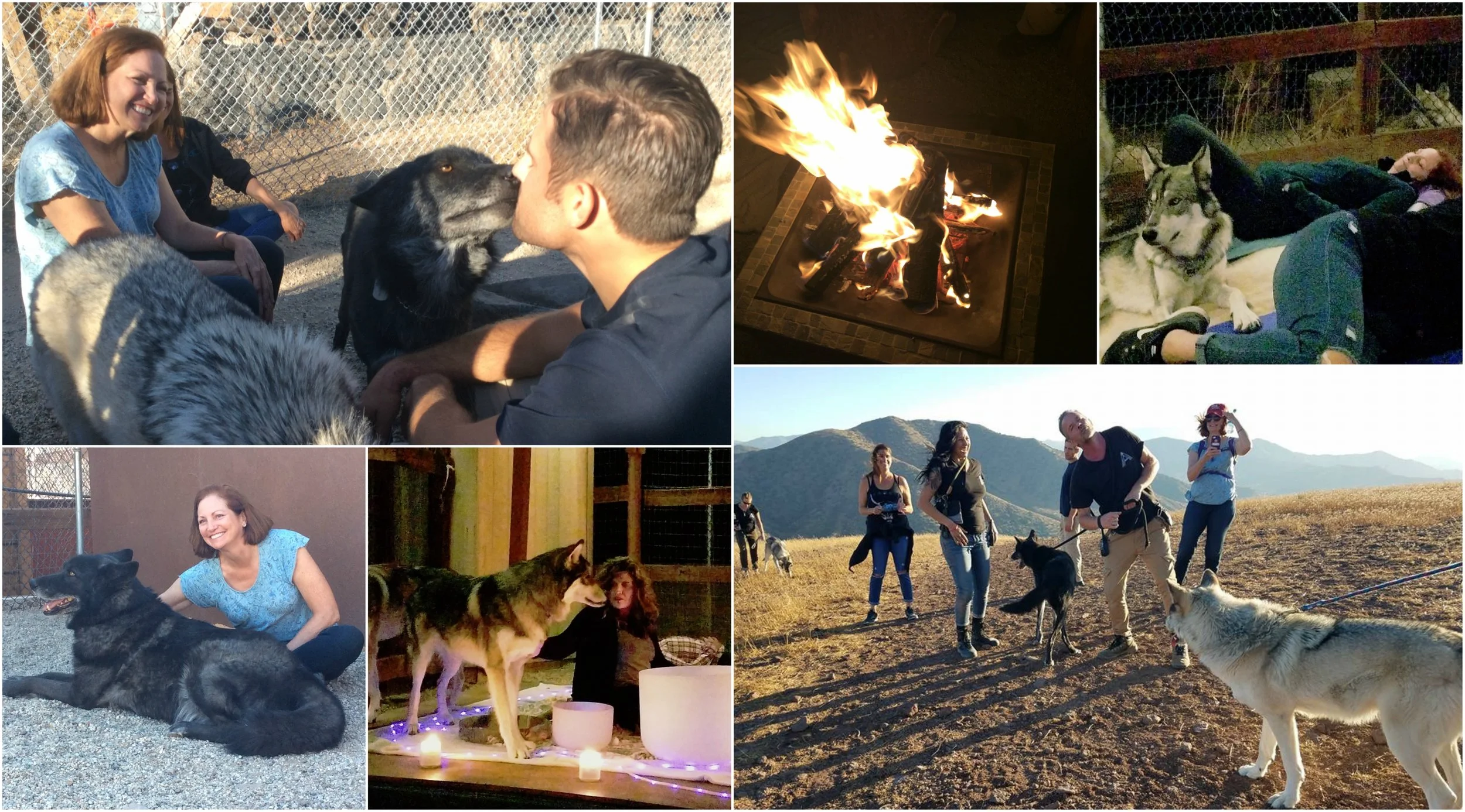 wolfeventcollage3.jpg