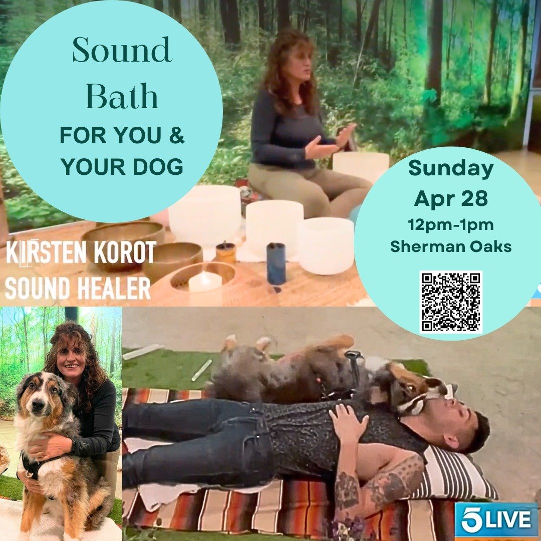 JOIN ME FOR ANOTHER 
PAWS &amp; RELAX
SELF-CARE SUNDAY 
SOUND BATH FOR YOU &amp; YOUR DOG
APRIL 28. 12PM-1PM
@liberateurself SHERMAN OAKS

Limited Spots 
Scan QR code for Tix or visit my Upcoming Events link in bio❤️

A relaxation space for furr babi