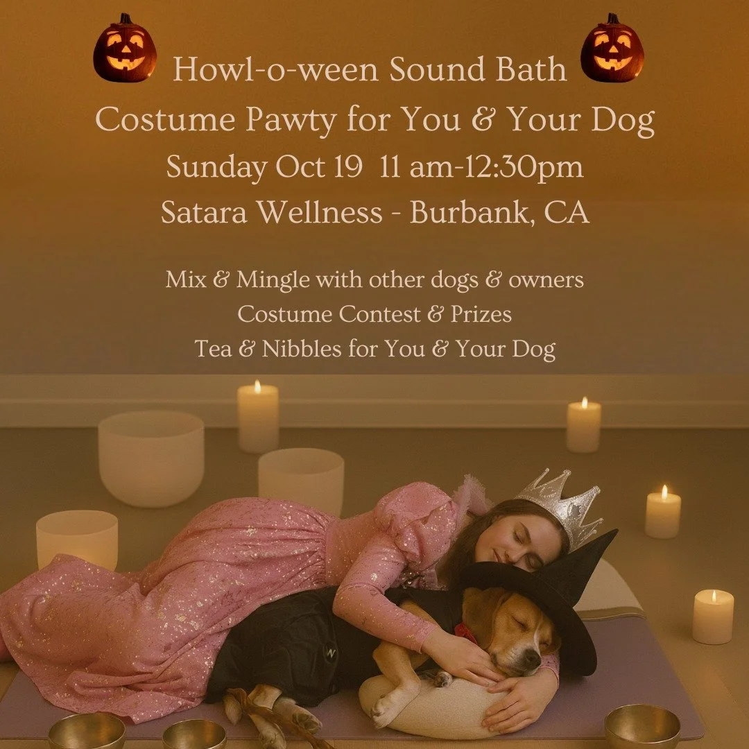 Get ready for a &quot;Howl-o-ween Sound Bath for you and your furr baby! 🎃👻 

❤️Tag a friend who would love this experience!

🐾 Costumes are optional but encouraged for our costume contest and to grab some adorable memories with your pup. 

Relax 