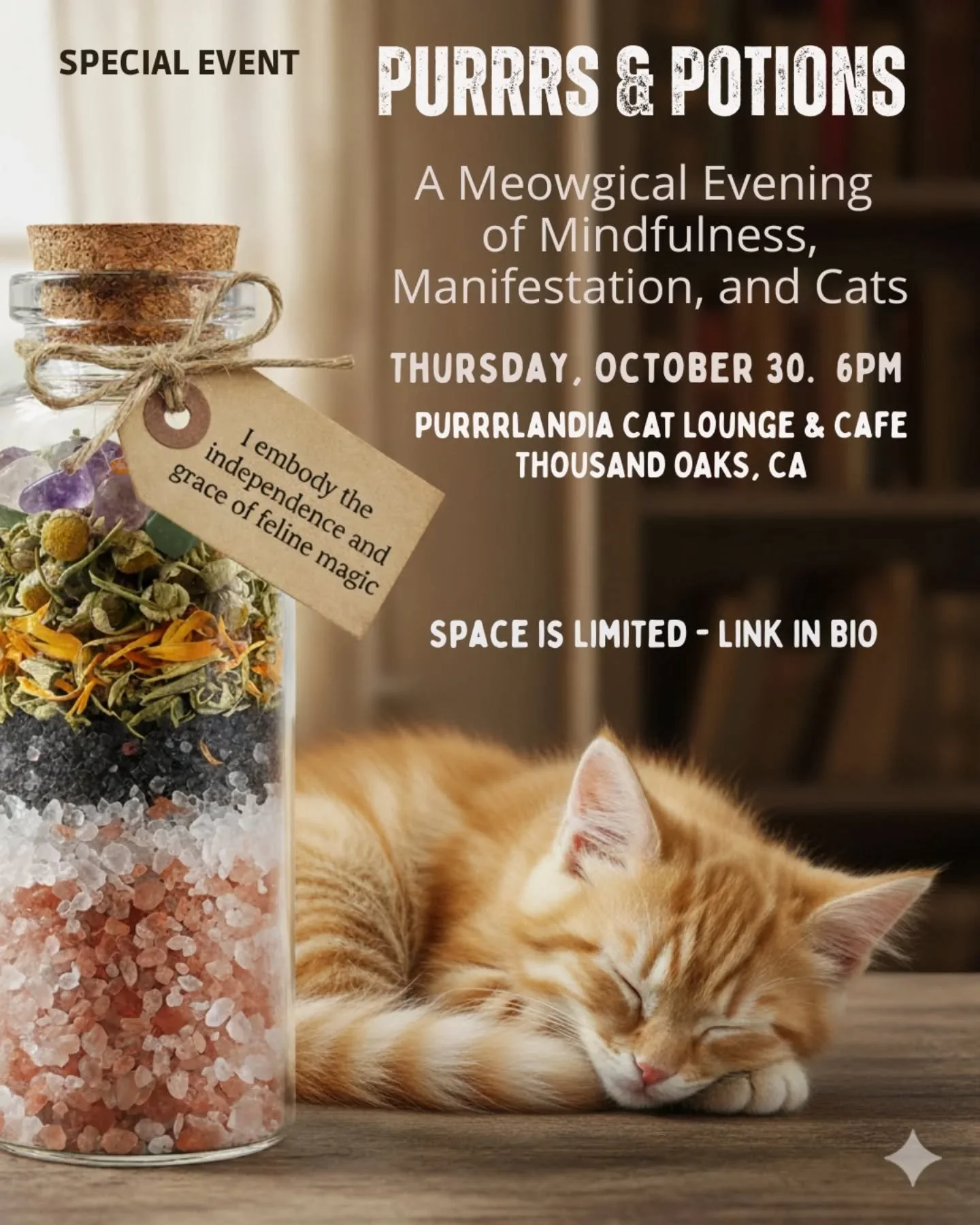Join me for a meowgical🐈 Halloween week event with cats. 

🔮Purrs &amp; Potions
 Thursday Oct 30th at 6pm @purrrlandiacatlounge landiacat 
Thousand Oaks, CA 

Sign up link on my bio 

Limited space ✨ 

I'll be guiding you in creating your own cat-f