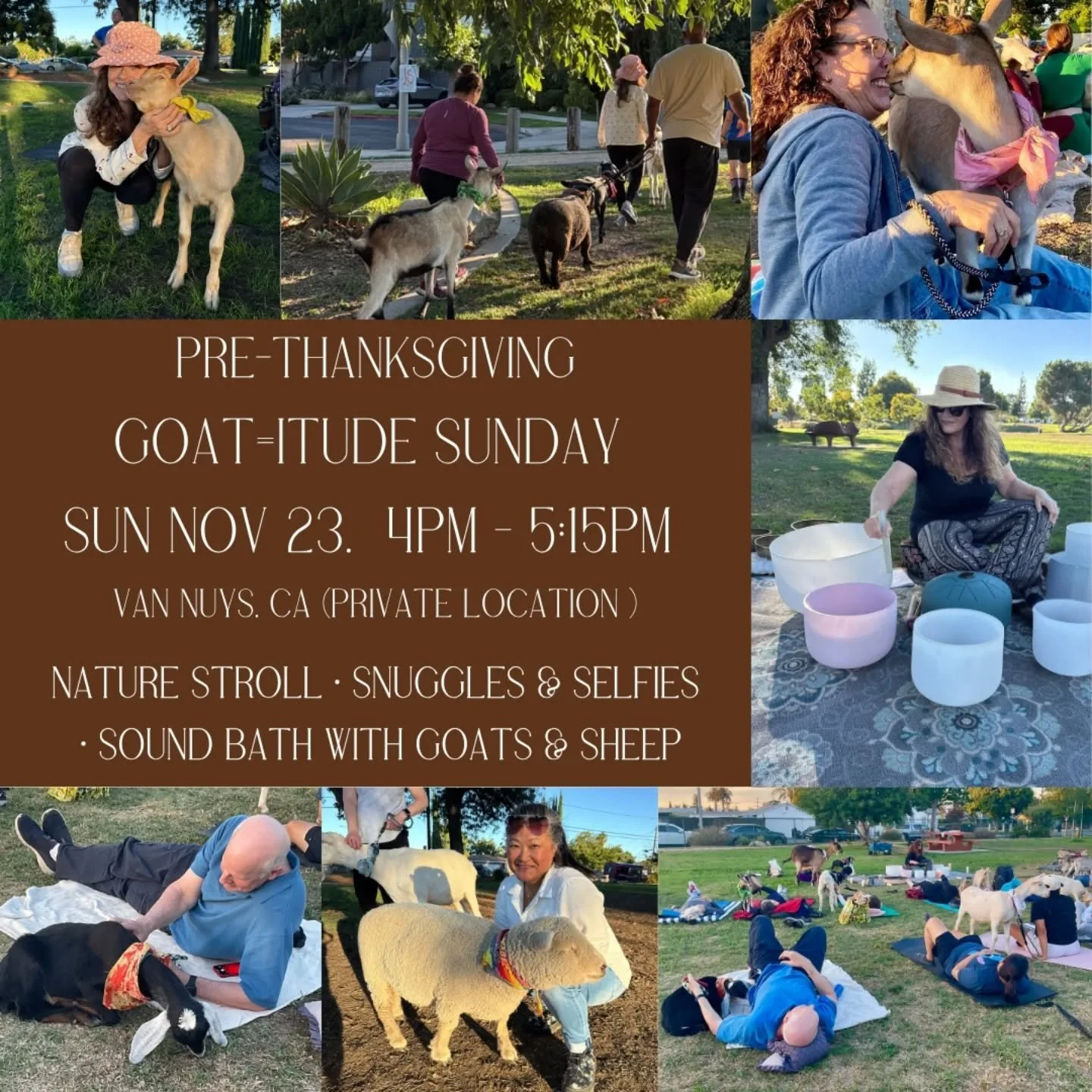 🐐💫 &ldquo;Goat-i-tude Sunday: 
A Pre-Thanksgiving Celebration with Goats &amp; Sheep 🌿🦃

Join us for a whimsical 
pre-Thanksgiving escape! Take a gentle nature stroll, snuggle with adorable goats and sheep, snap cute selfies, and soak in a ground
