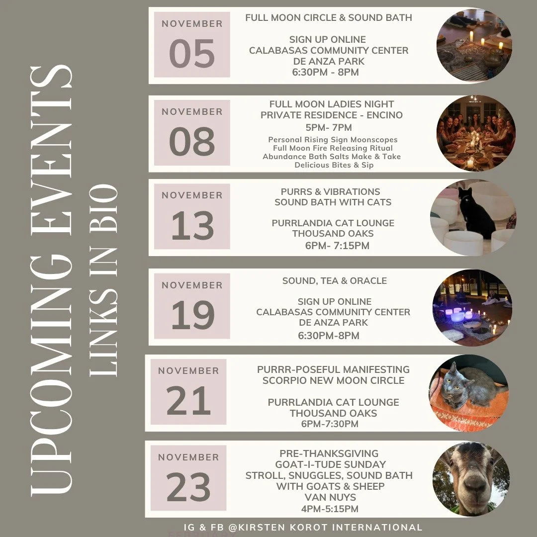 💖 Cozy up for a magical November! 
Which event are you manifesting your way to first? Let us know in the comments! 👇✨

Get ready for a month packed with soothing sounds, Full &amp; New moon Manifesting Magic, and soul soothing animal therapy with c