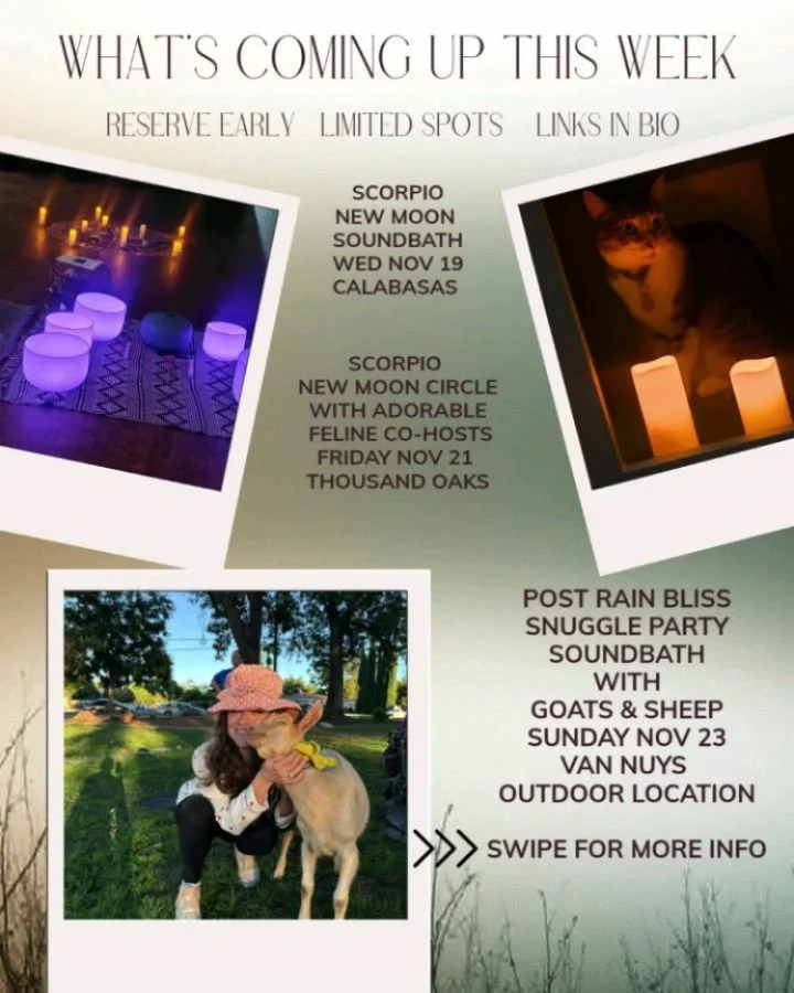 This week's lineup of magical and mystical new moon and animal inspired events.  Links in bio 

This week we enter into the Scorpio New Moon energy a powerful portal of transformation and an opportunity to release what you've outgrown or the heavines