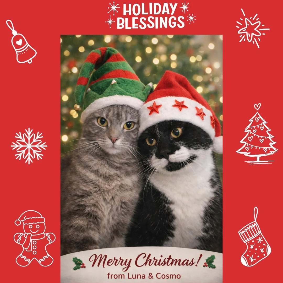 🎄✨ Paws what you&rsquo;re doing&hellip; it&rsquo;s time for some meow-gical holiday mischief! 🐾

From my very own Elf on the Shelf Luna 🧝&zwj;♀️🐱 and Santa&rsquo;s Helper Cosmo 🎅🐾, we&rsquo;re delivering whisker wiggles, purr-sonalized joy, and
