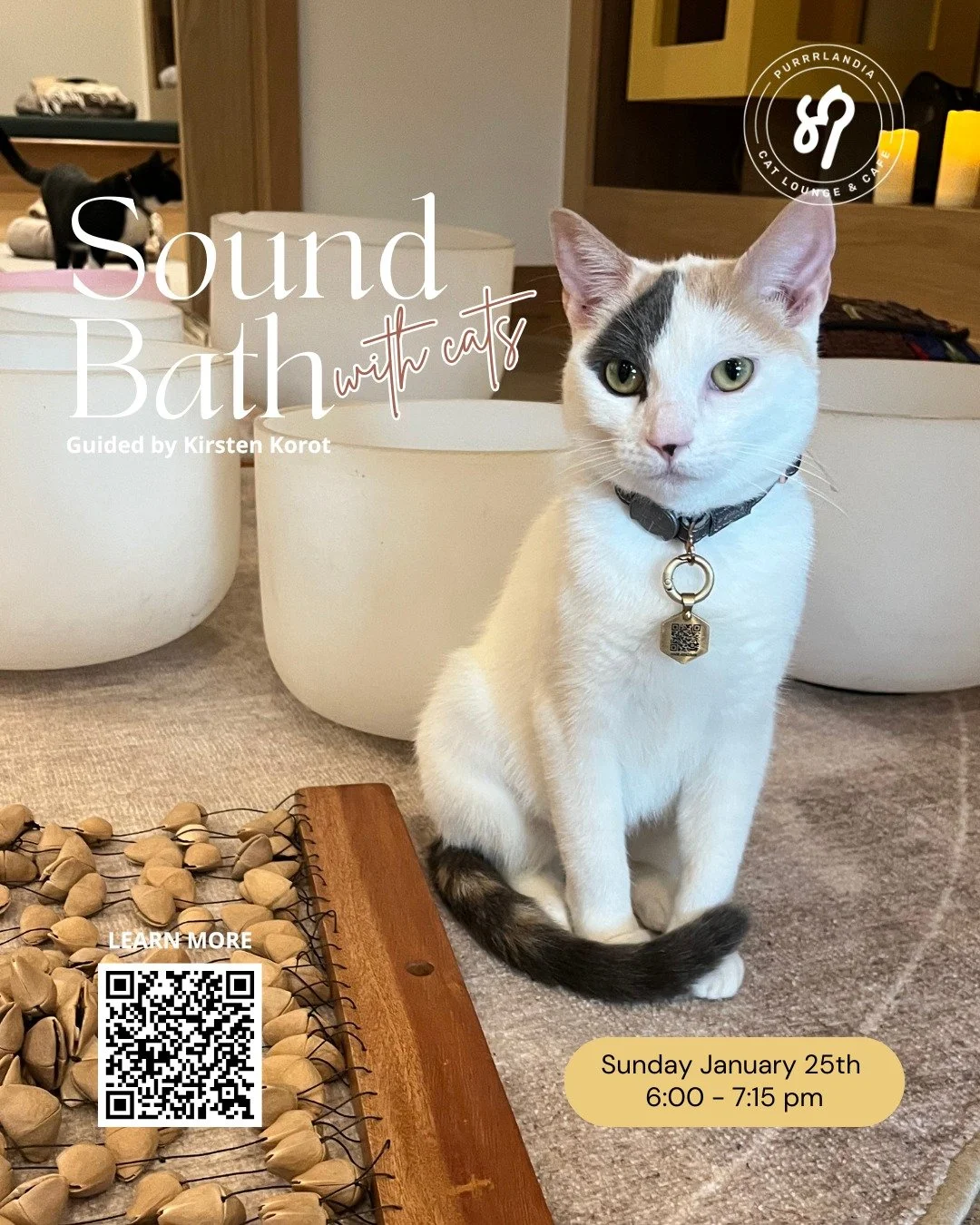 ⚠️ HURRY&mdash;ONLY A FEW SPOTS LEFT! 

🧘&zwj;♀️ Sound Bath with Cats: First Session of 2026! 🐾

Start your year on a high vibration (and a soft purr)! 

When: Sunday, January 25th

Time: 6:00 &ndash; 7:15 pm

Where: Purrrlandia Cat Lounge &amp; Ca