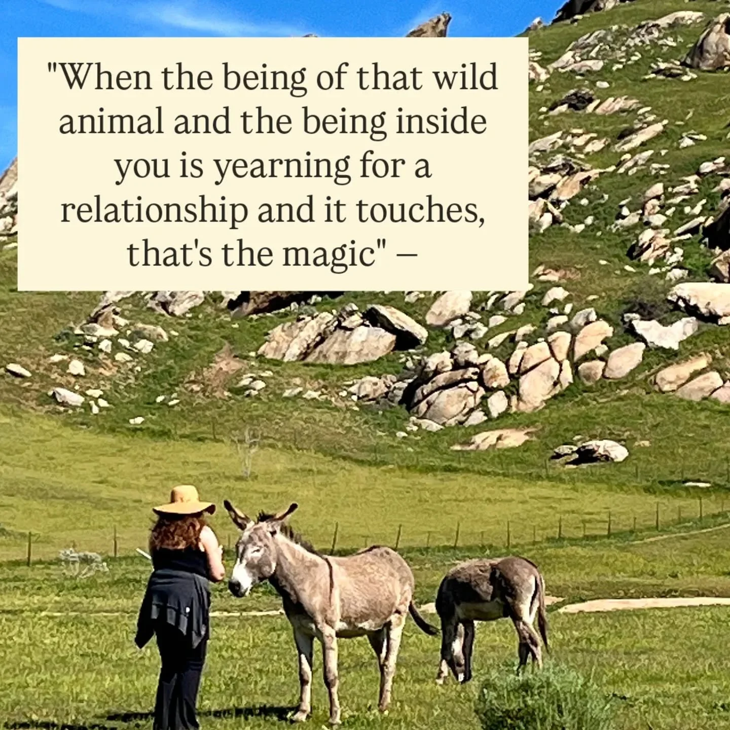 Mother Nature sent me the most beautiful birthday gift."&nbsp;

It's a slow but beautiful blossoming when the wild being and the human become mutually respectful and TRUST-ing of each other,"&nbsp;

This is the year I want to take small gro