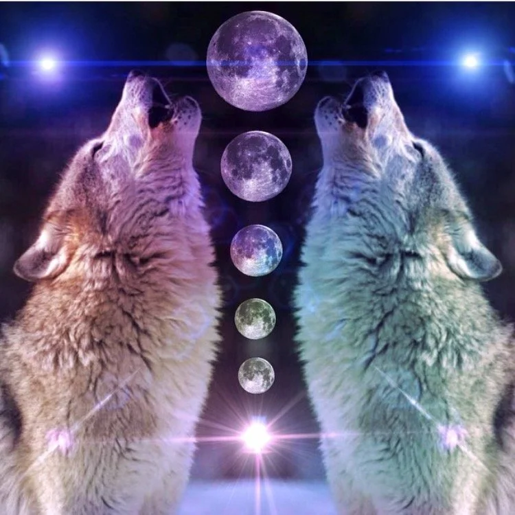 wolf full moon.jpeg