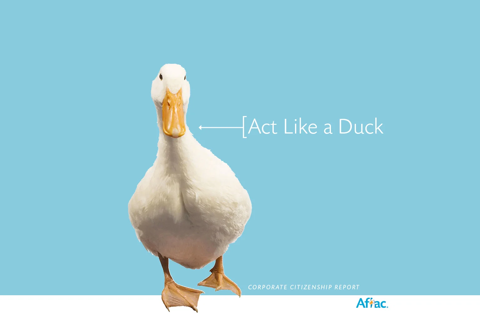aflac.jpg