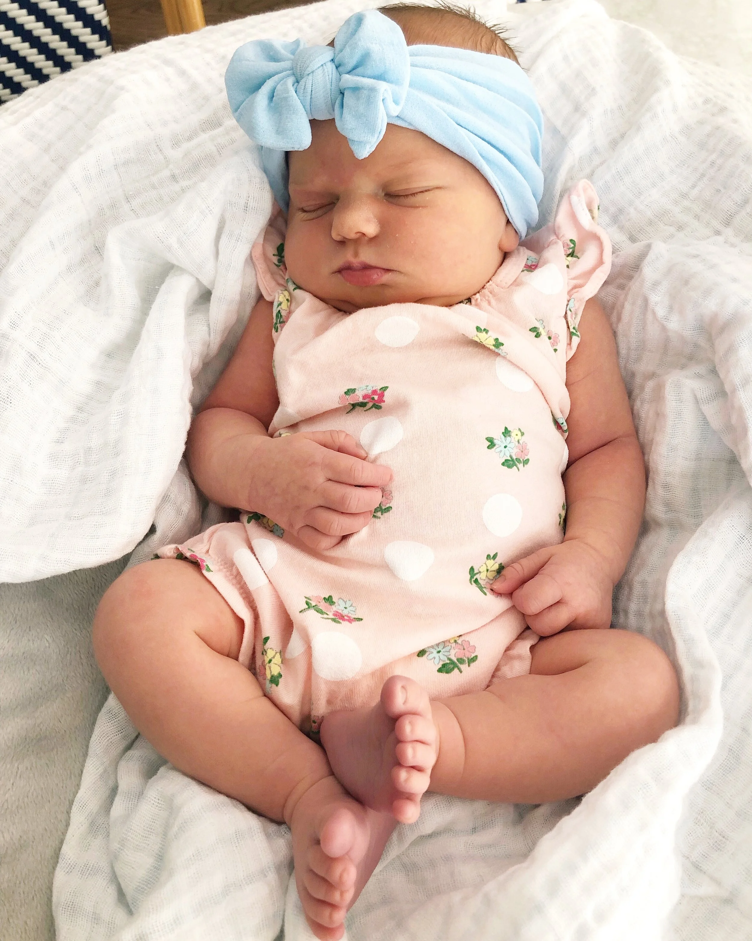 Introducing Katherine (Kate) Lee White