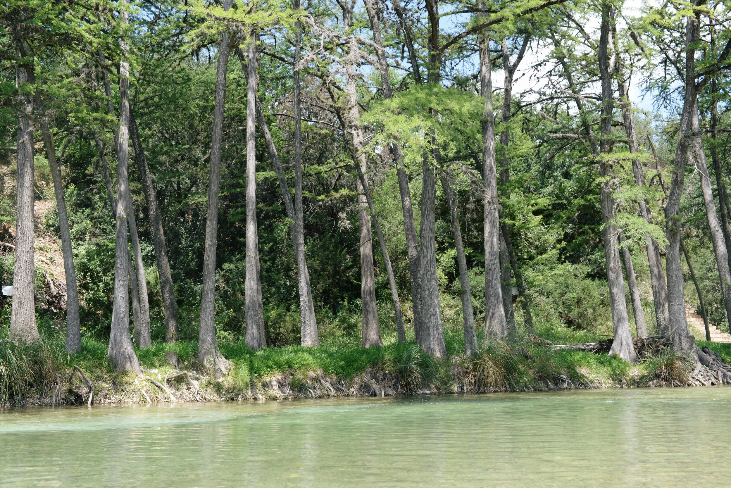 Family Trip to the Frio River