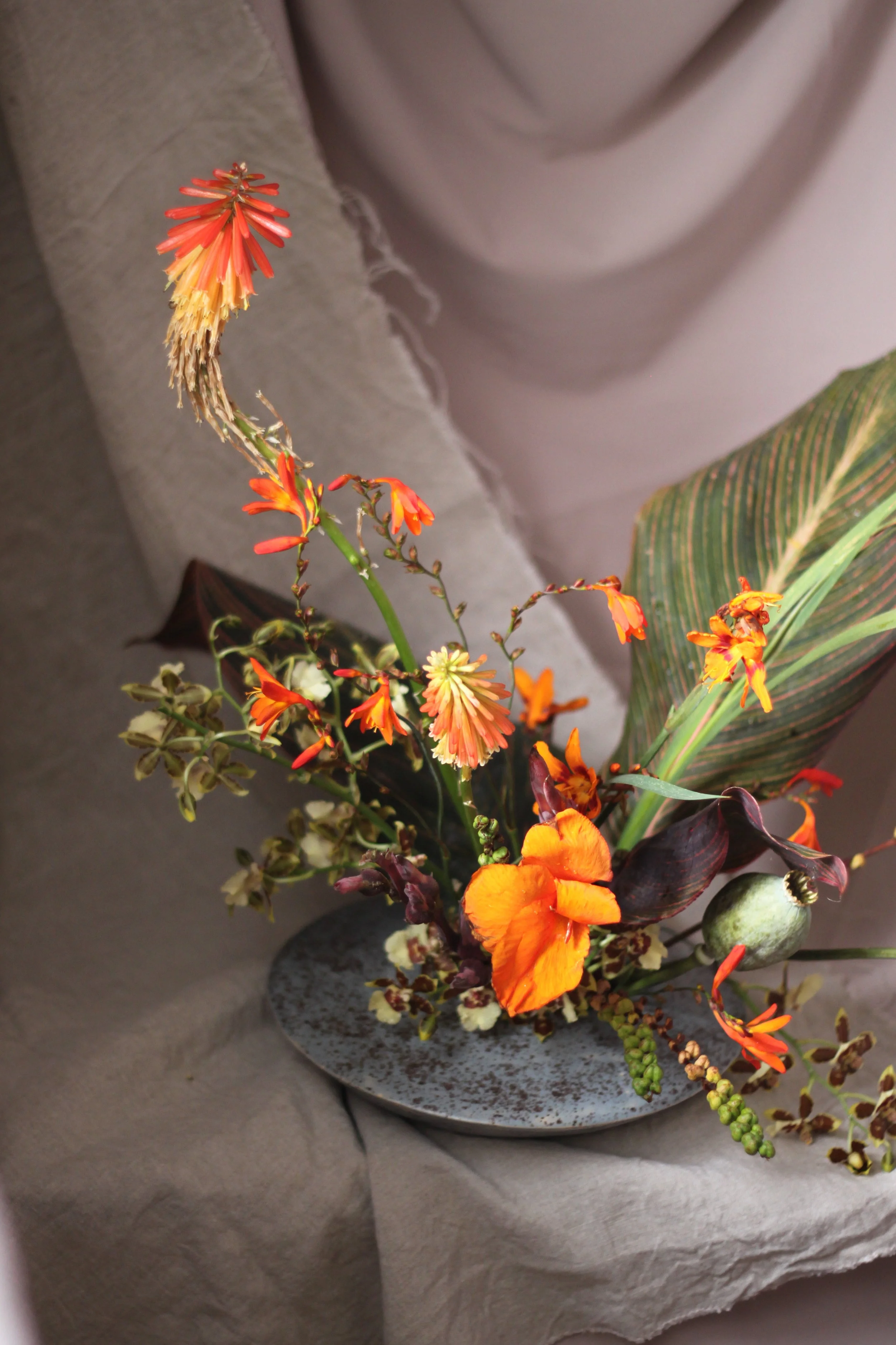  Cosmosandplums, Croydon 2018 