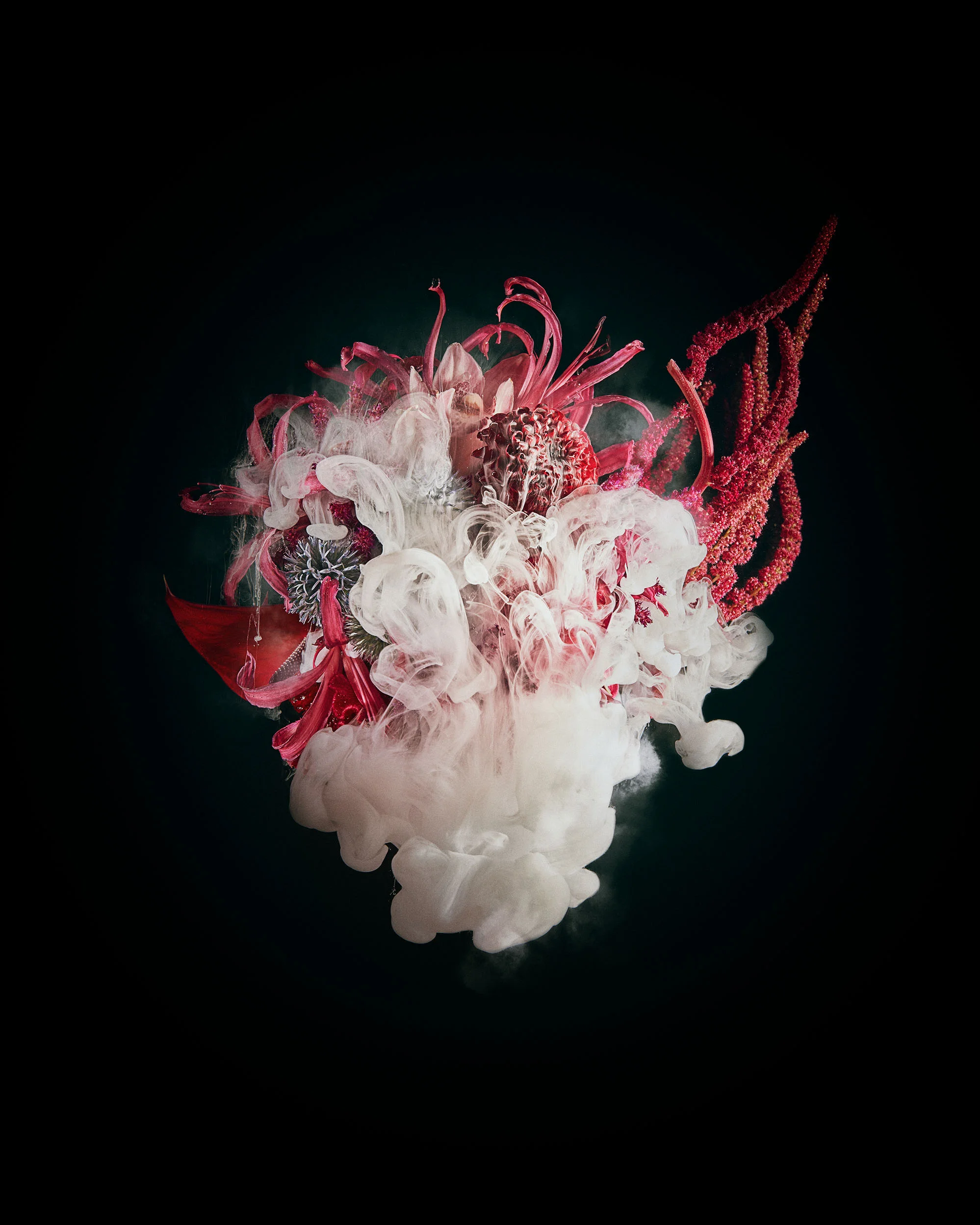 Disphotic - A recent collaboration with floral stylist Kasia Borowiecka and photographer Chris Hoare. The Dis (lacking) Photic (light) zone in oceanography, refers to the layer of the ocean where only a small of light reaches, where lifeforms exist in perpetual twilight. London, 2018