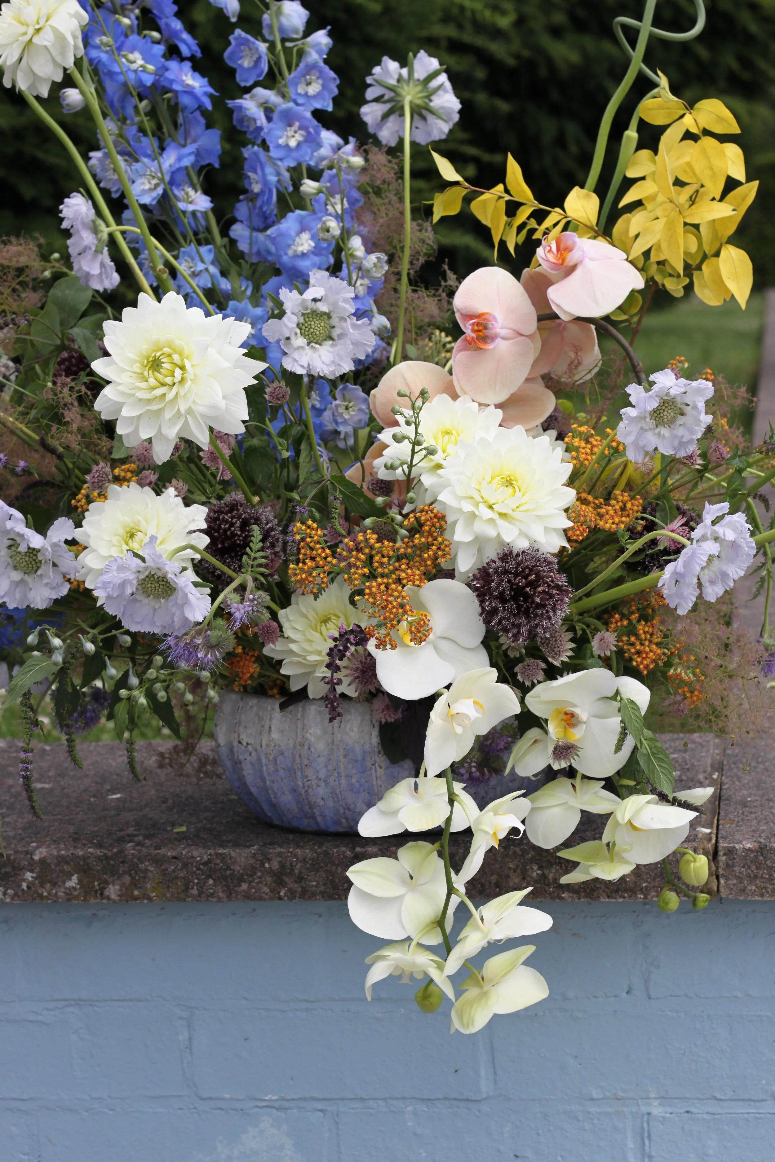  Battersea park with Cosmosandplums and Allyandflowers, London 2018 