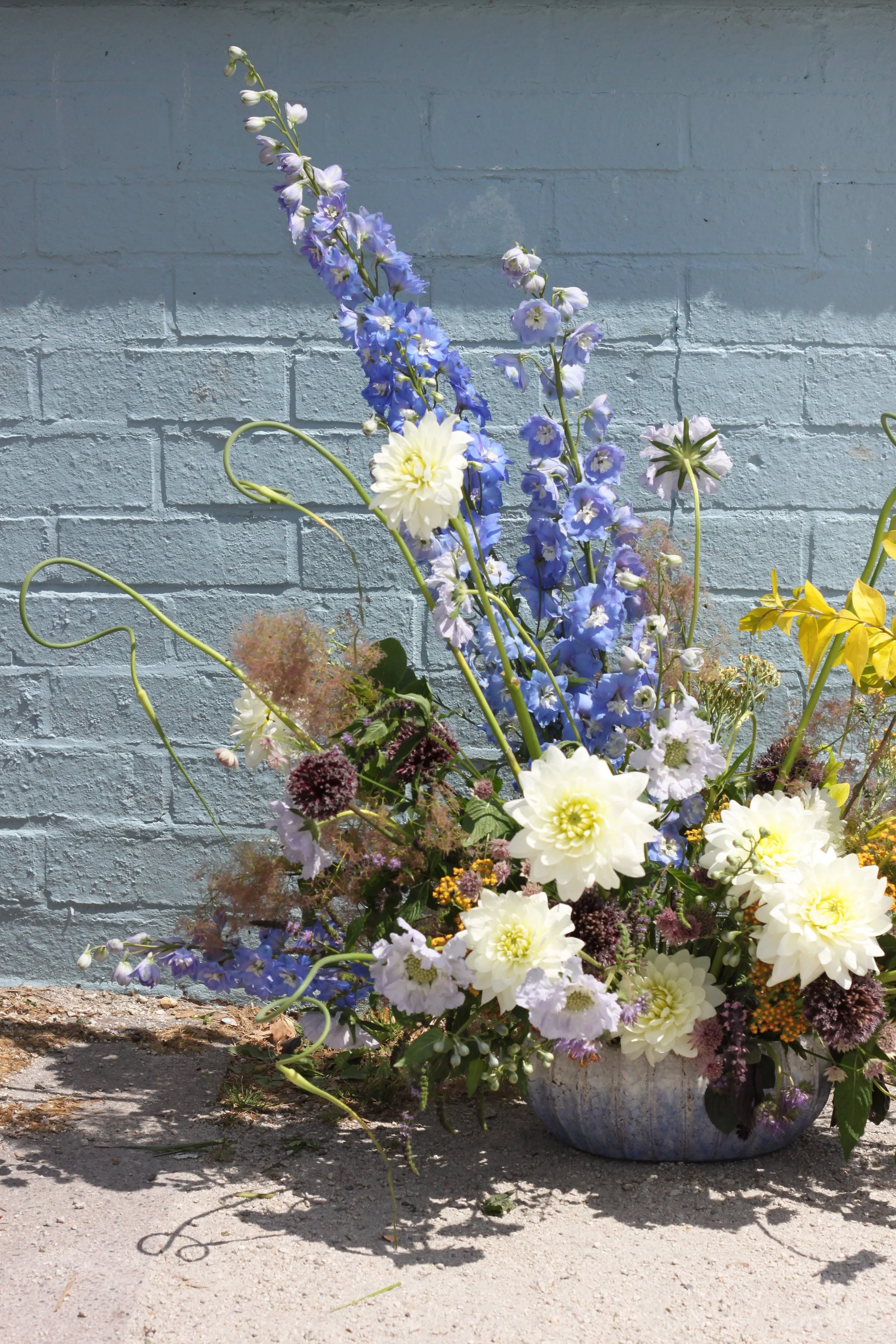  Battersea park with Cosmosandplums and Allyandflowers, London 2018 