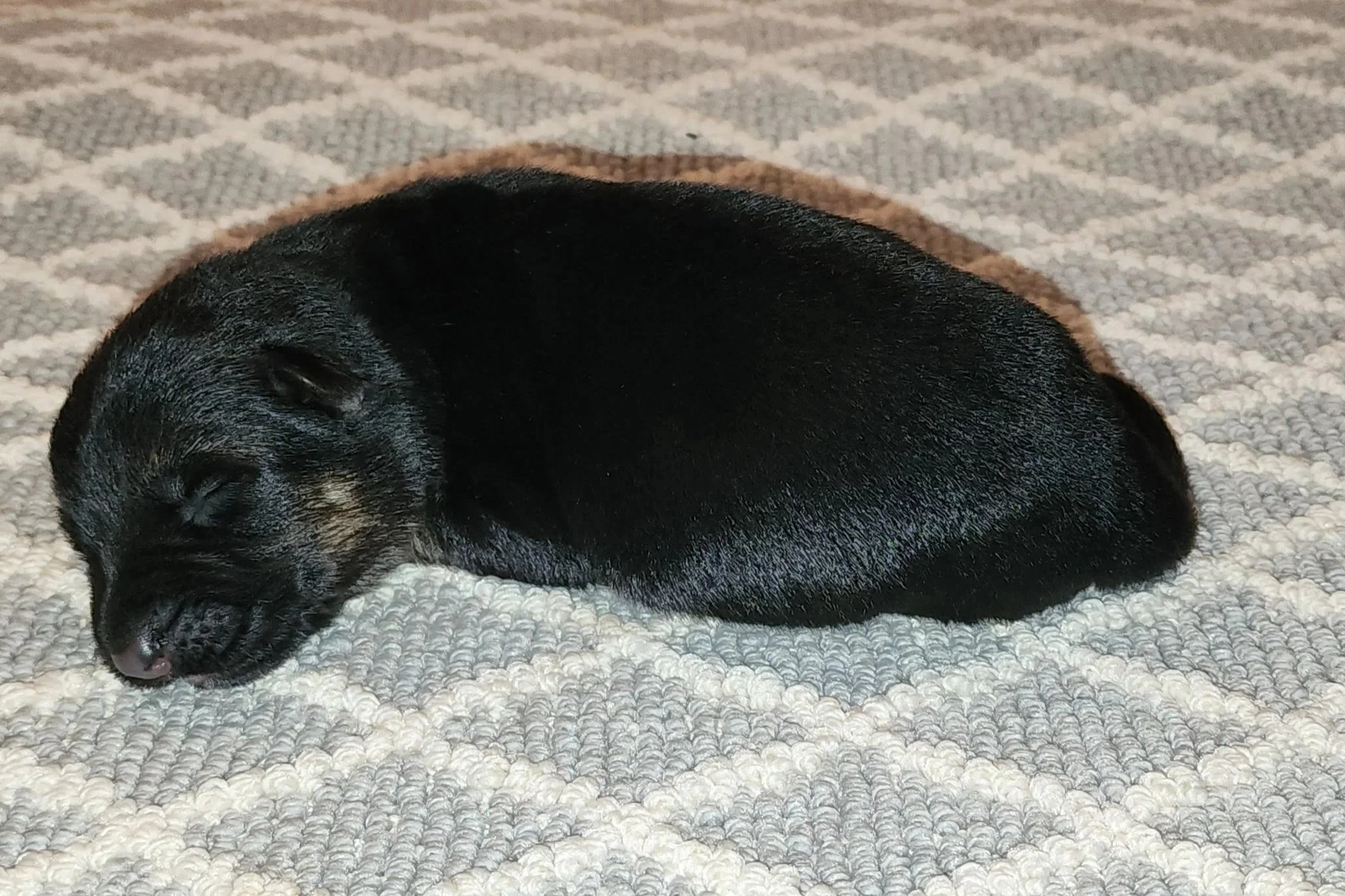 Female 8/19/25