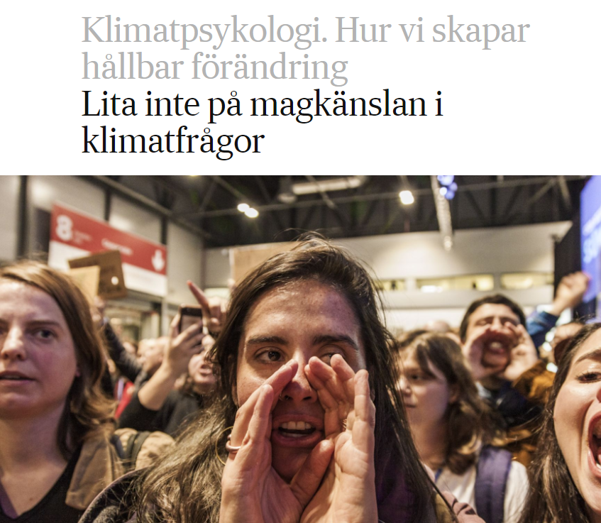 Recension i Svenska Dagbladet