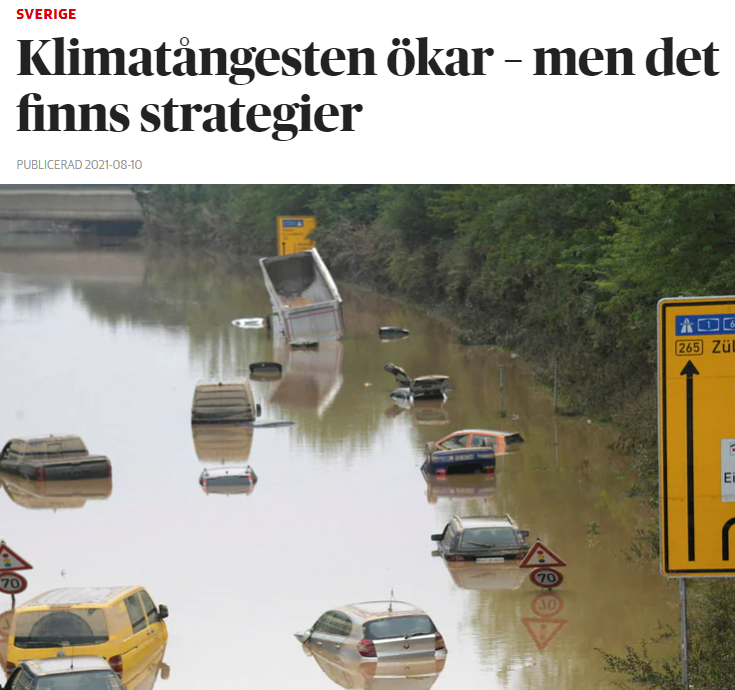 Artikel i Dagens Nyheter