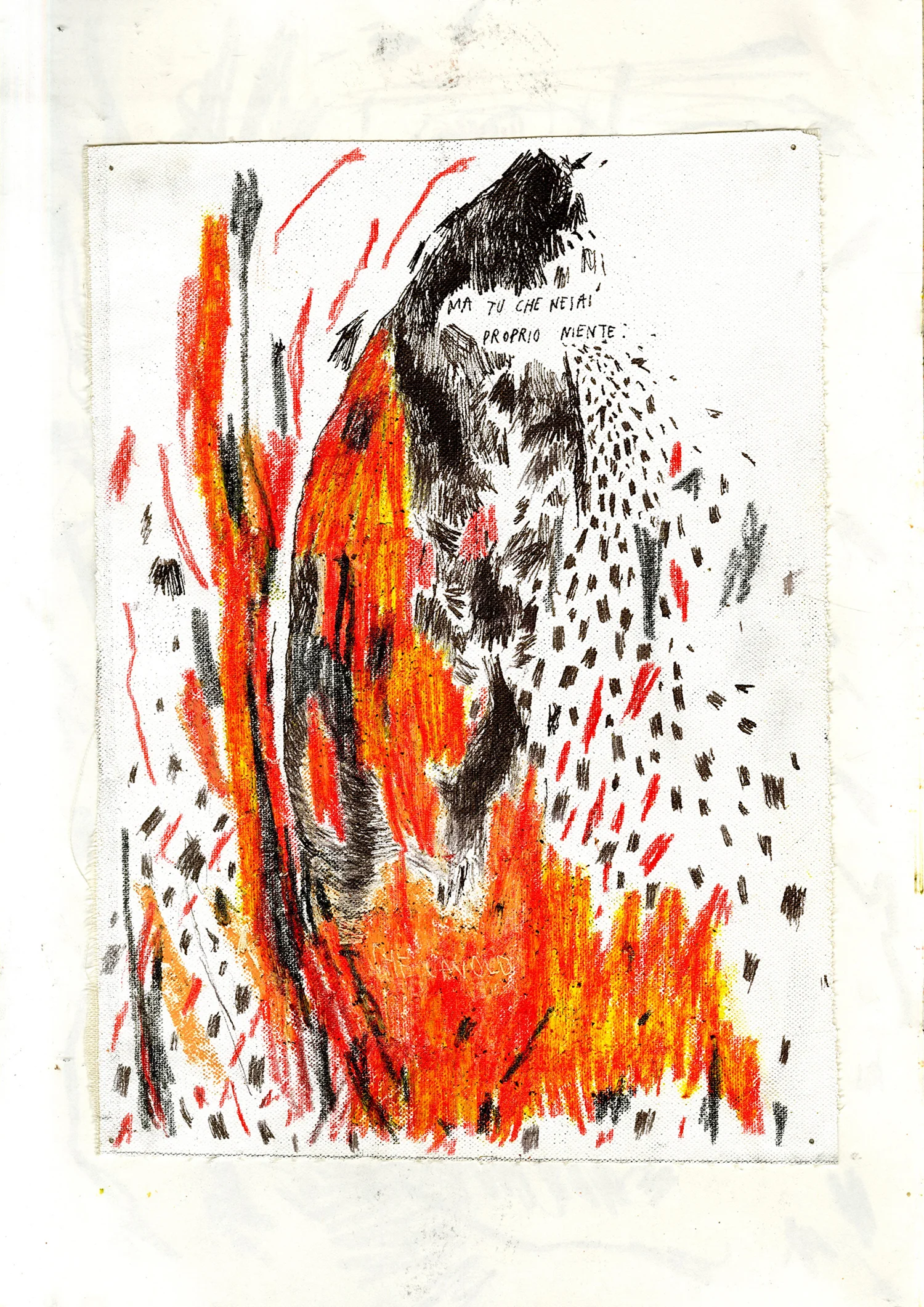 stevenmanes_logboek1617_030.jpg