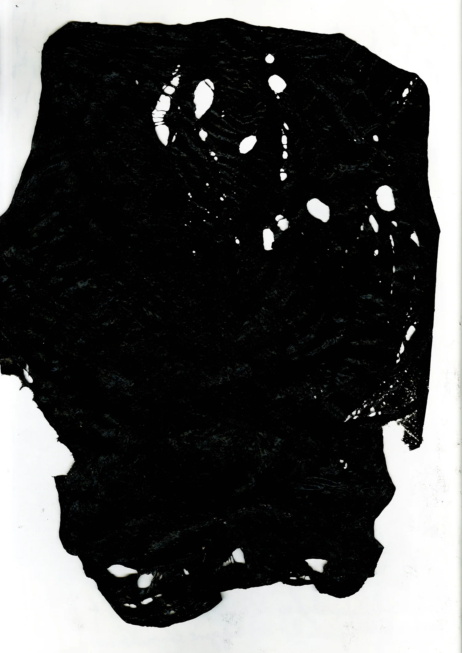stevenmanes_logboek1617_058.jpg