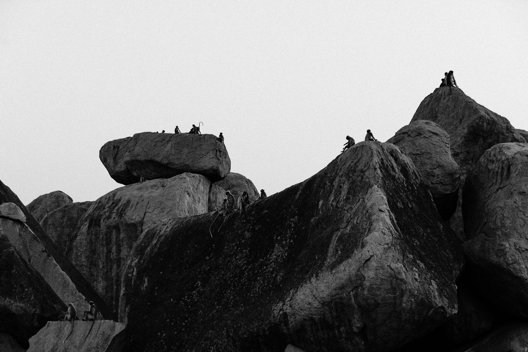 _DSC6763.jpg