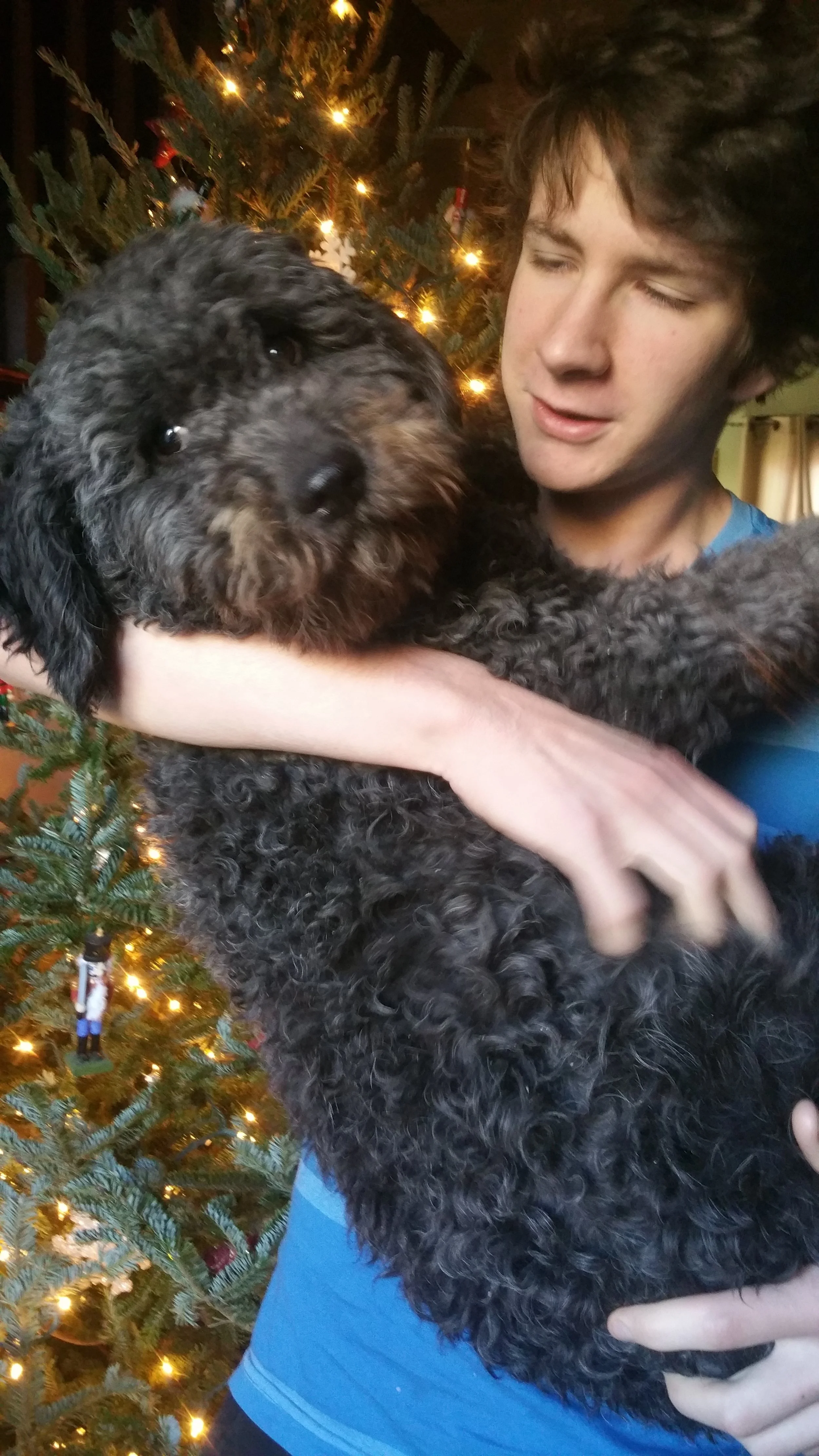 Christmas cuddles.jpg