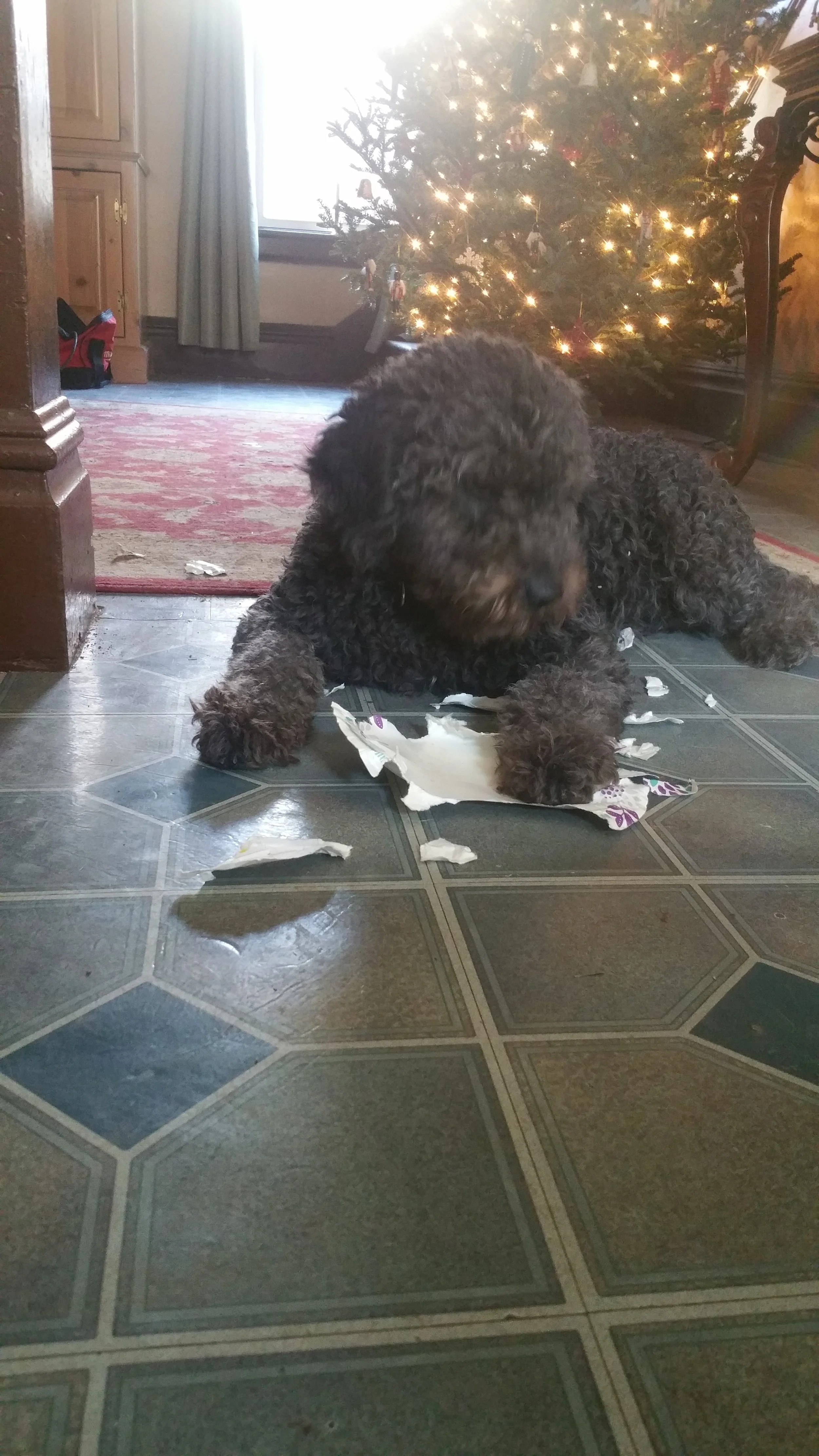 paper plate.jpg