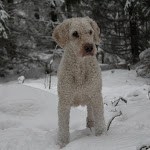 Multi Ch. Pontlajac de Ubrique