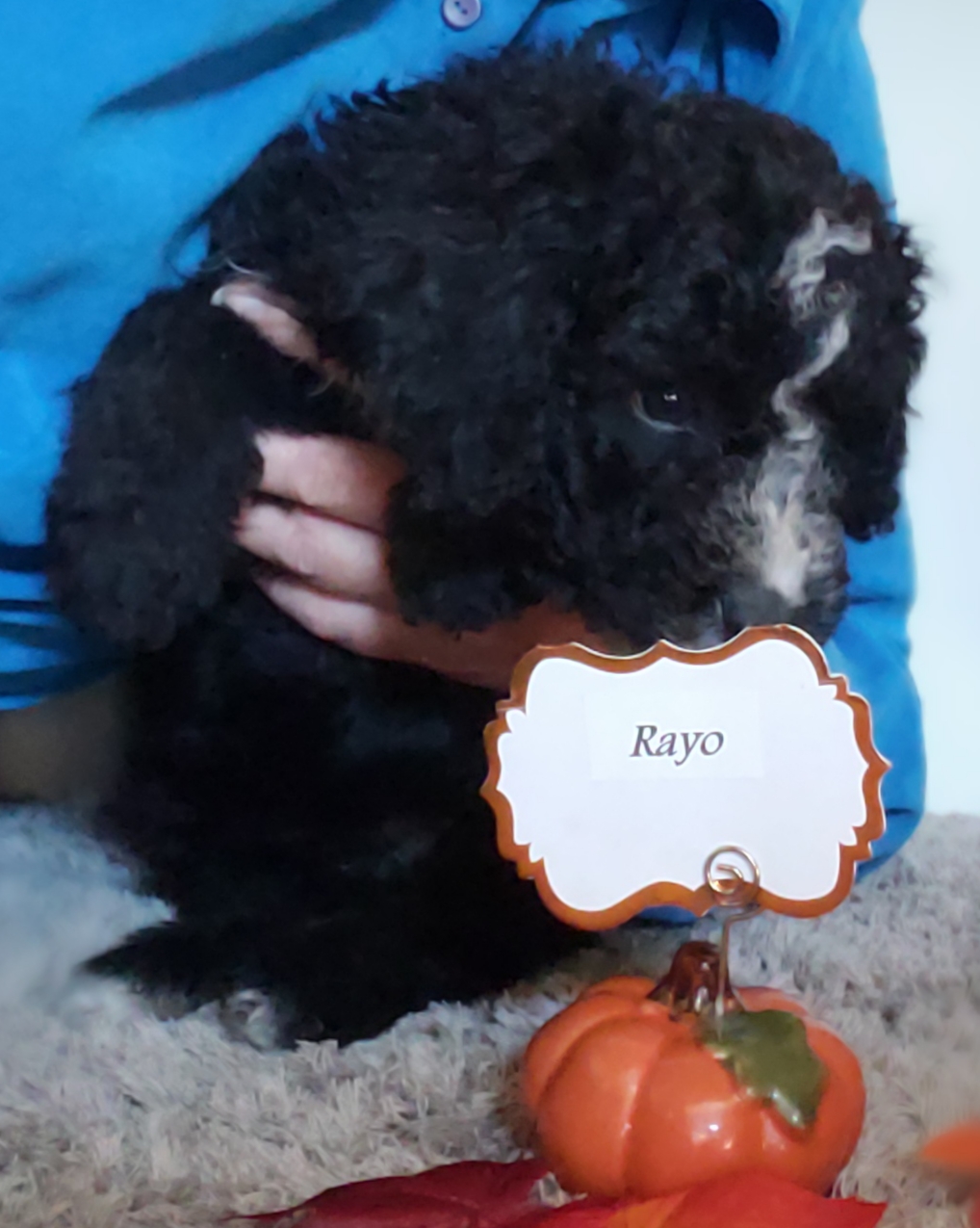 20181018_133707.jpg
