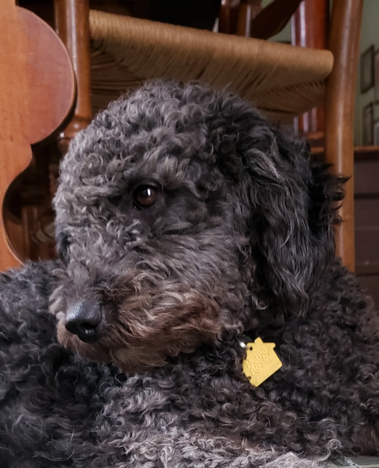 Isabella Marie de Chesapeake, aka: "Bella"