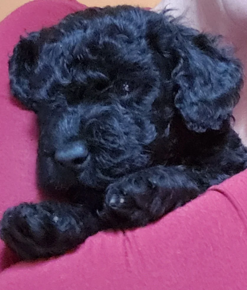 Ajax
