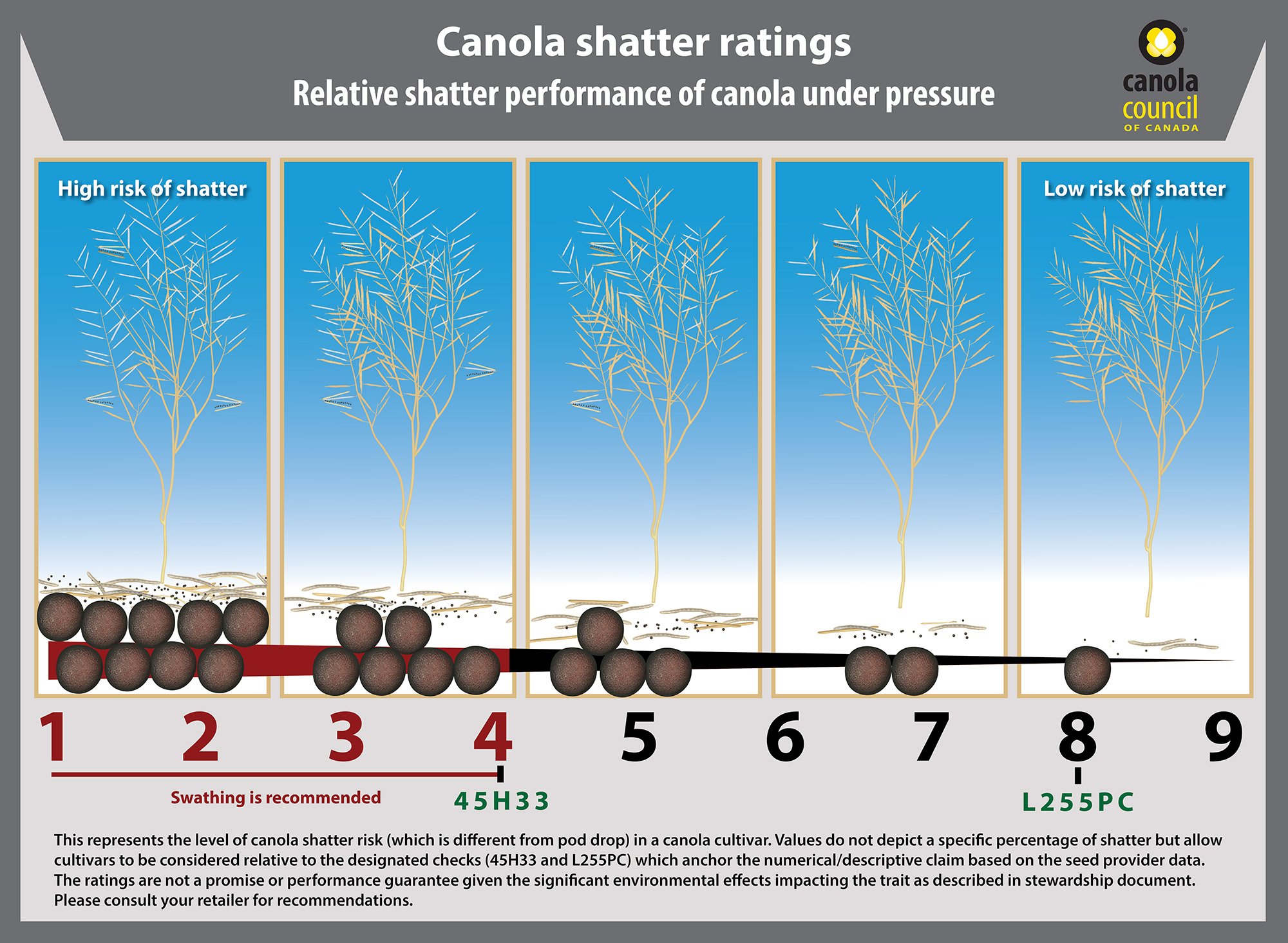 Canola Shatter Ratings Graphic