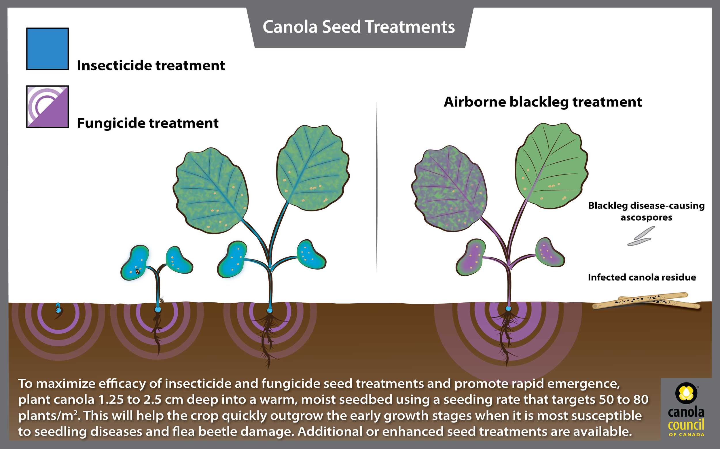 Illustration of seed treatments 