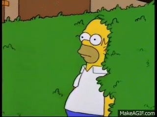 A yellow man (Homer) walks into a green bush.
