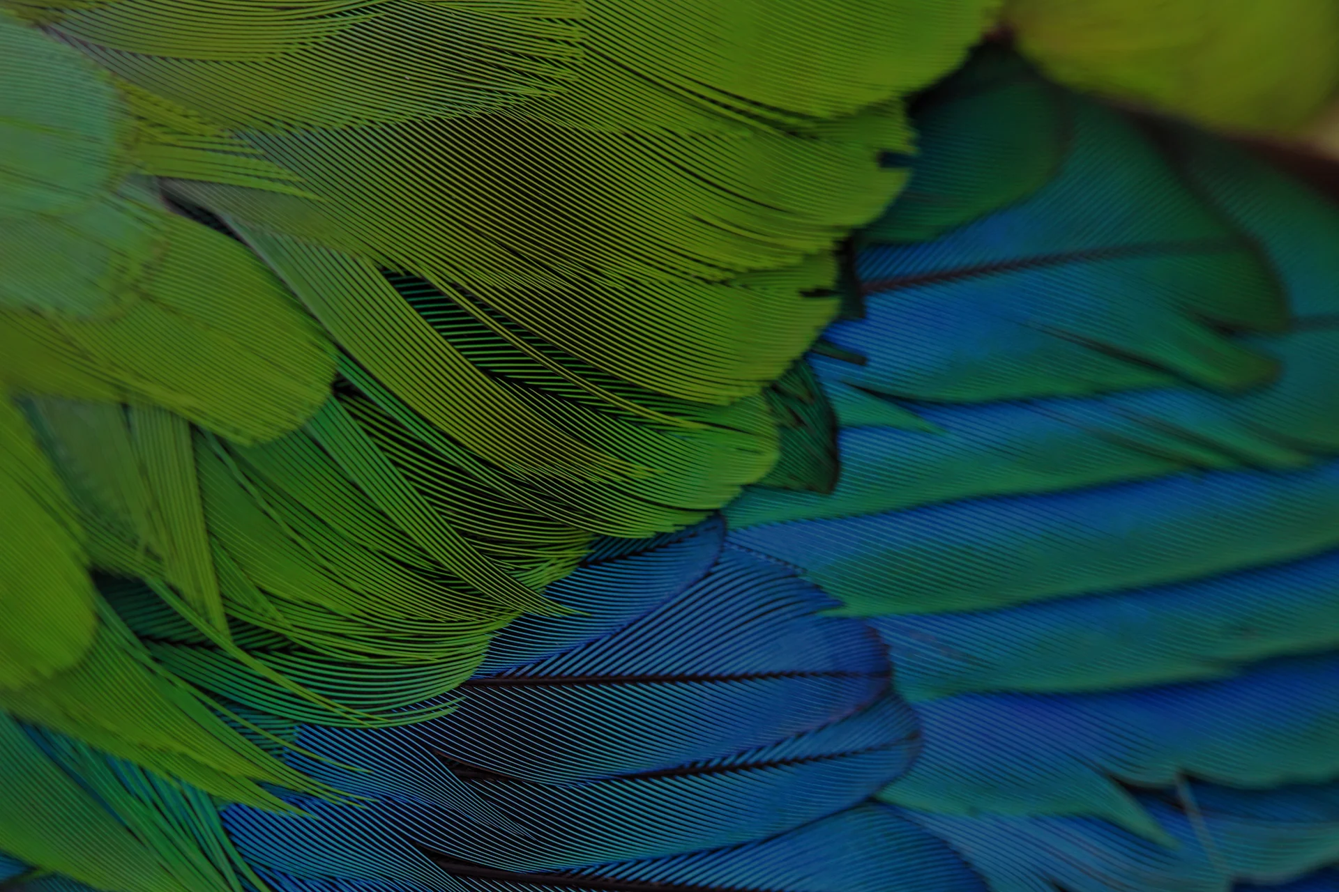 iStock-641703404-copy copy.jpg