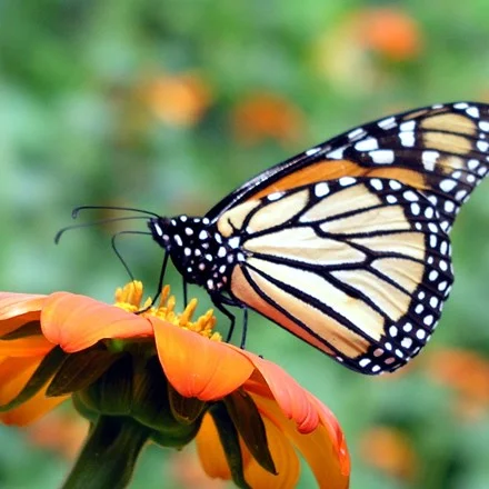 thinkstockphotos-607908868.jpg