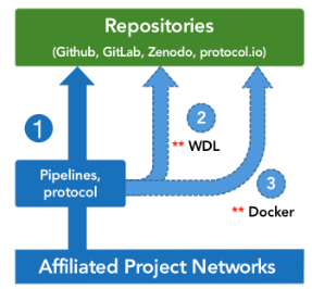 Figure 5. The management and sharing of the pipelines.&nbsp;Note: The standardized and dockerized method by WDL and Docker are not mandatory, but recommended options.&nbsp;&nbsp;
