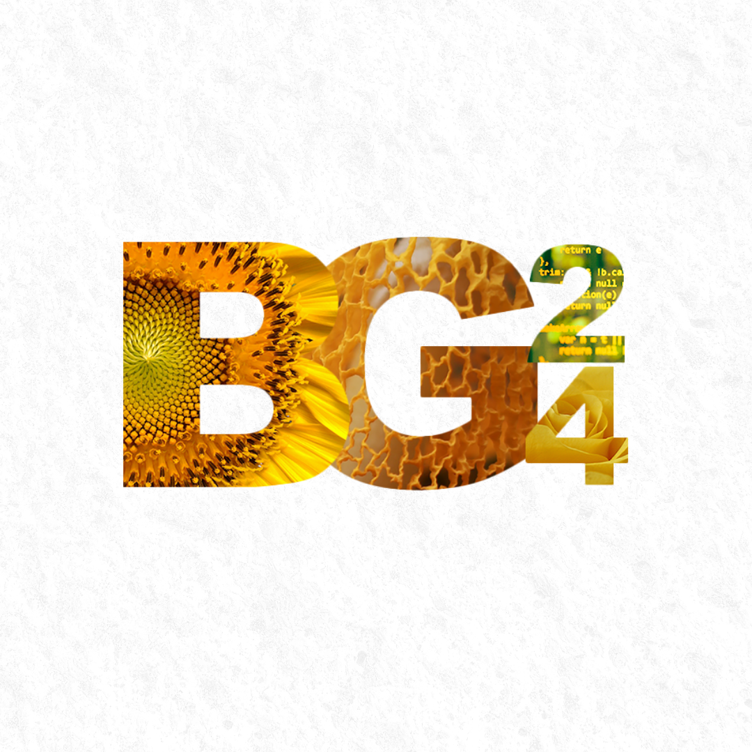 BG24 &amp; BGA24 Round Up