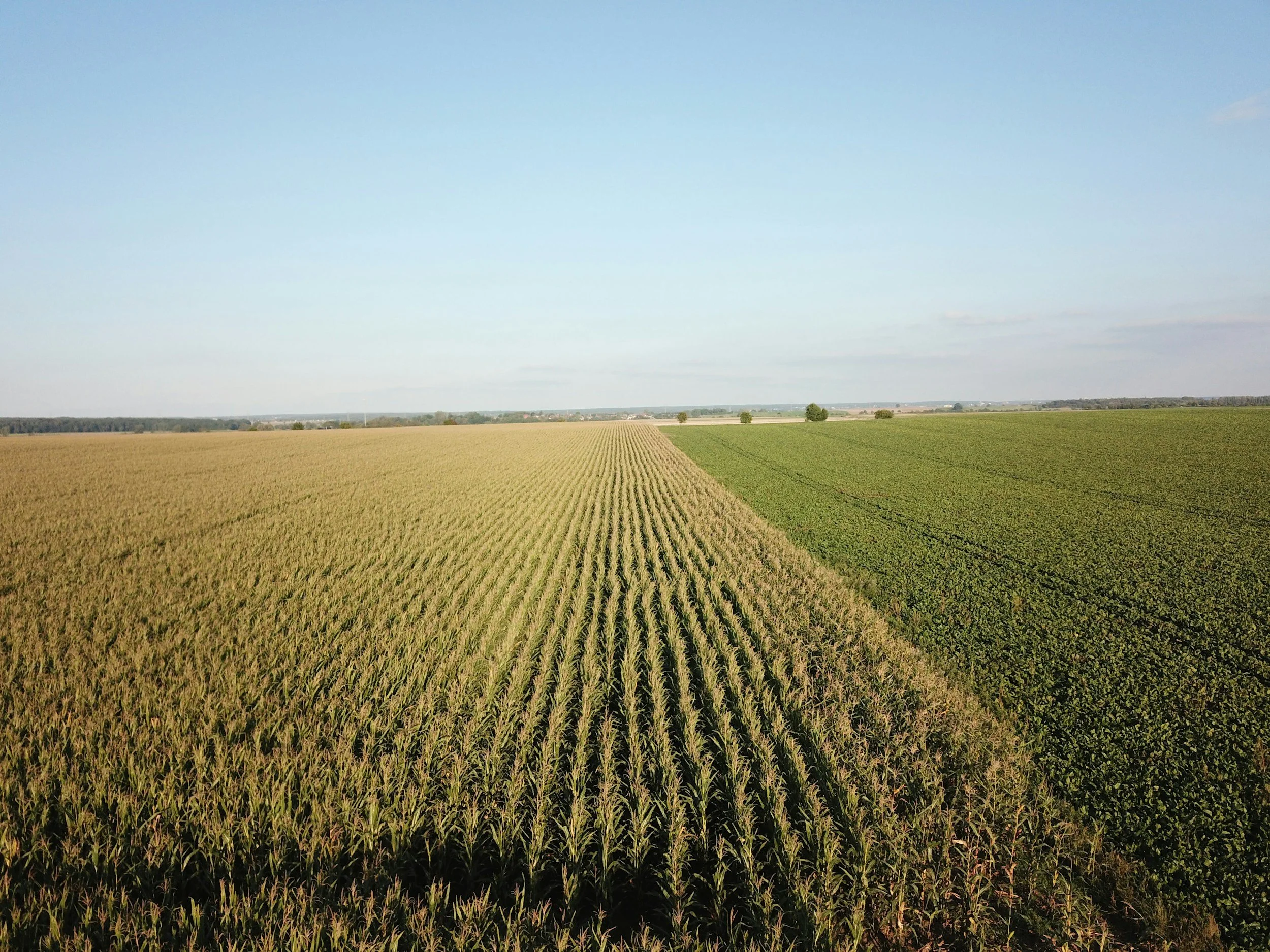 Genomics Powering Agriculture