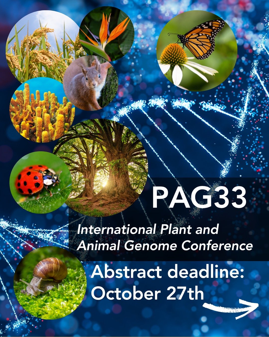 🌍🧬 Will we see you at PAG33 this January 2026?
Check the conference details: https://intlpag.org/PAG33/
Register today: http://bit.ly/4o7r4vW 

The International Plant and Animal Genome (PAG) Conference is almost here &mdash; the annual meeting poi