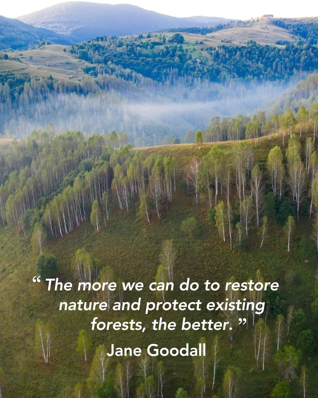 Today we remember Jane Goodall, who inspired a generation to protect wildlife and wild places, turning careful observation into lasting conservation.

&ldquo;A 'tireless advocate' for the protection of our natural world'&rdquo;- Jane Goodall Institut