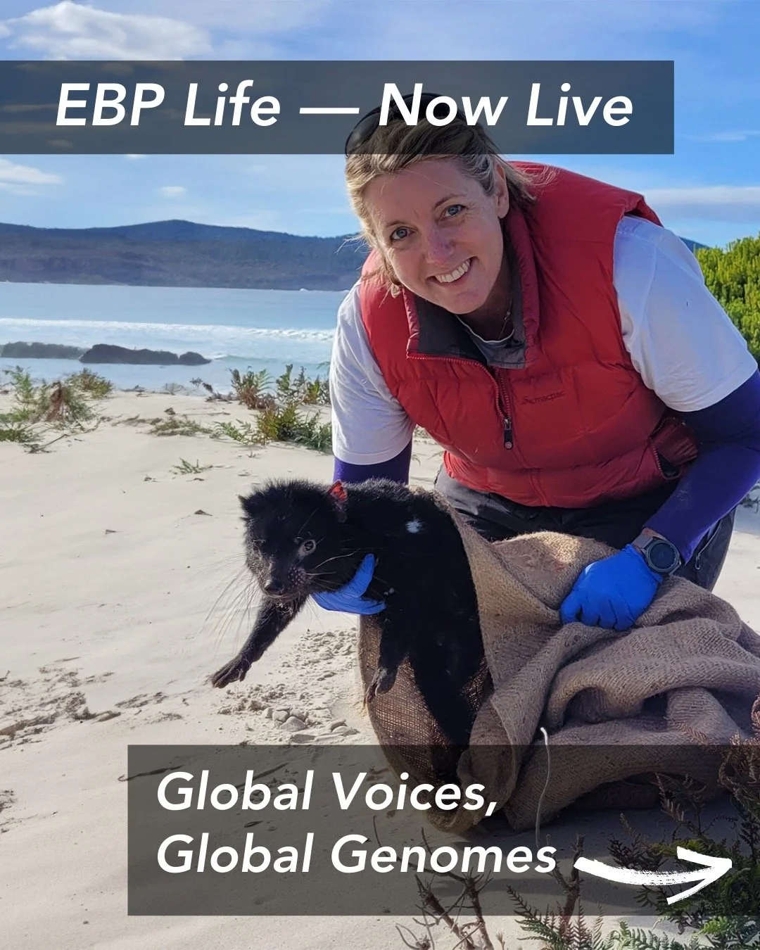🌍🧬 EBP Life &mdash; Global Voices, Global Genomes
The People Powering Biodiversity Genomics
Behind every genome is a human story. 🌱
From field collectors and curators to bioinformaticians, ethicists, and coordinators, EBP Life Issue 5 brings toget