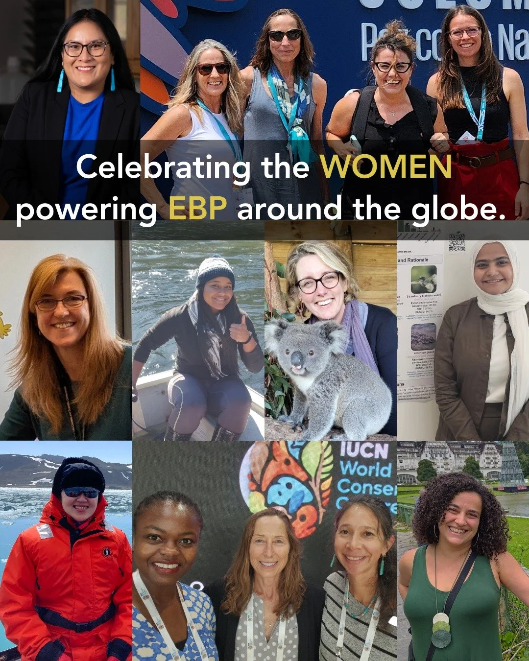 On International Women&rsquo;s Day, we celebrate the women across the globe whose leadership, research, and collaboration power the Earth BioGenome Project.
From field sampling to sequencing, data infrastructure to international coordination, women t