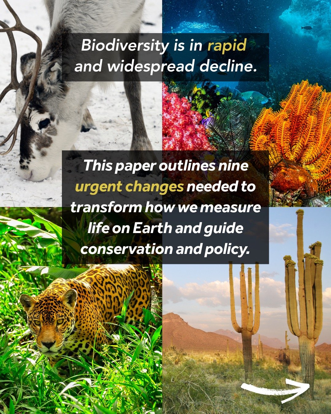 Biodiversity is declining rapidly 🌍📉 &mdash; but our ability to measure life on Earth is advancing faster than ever.

A new paper by Sutherland and colleagues outlines Nine changes needed to transform how we monitor biodiversity and guide conservat