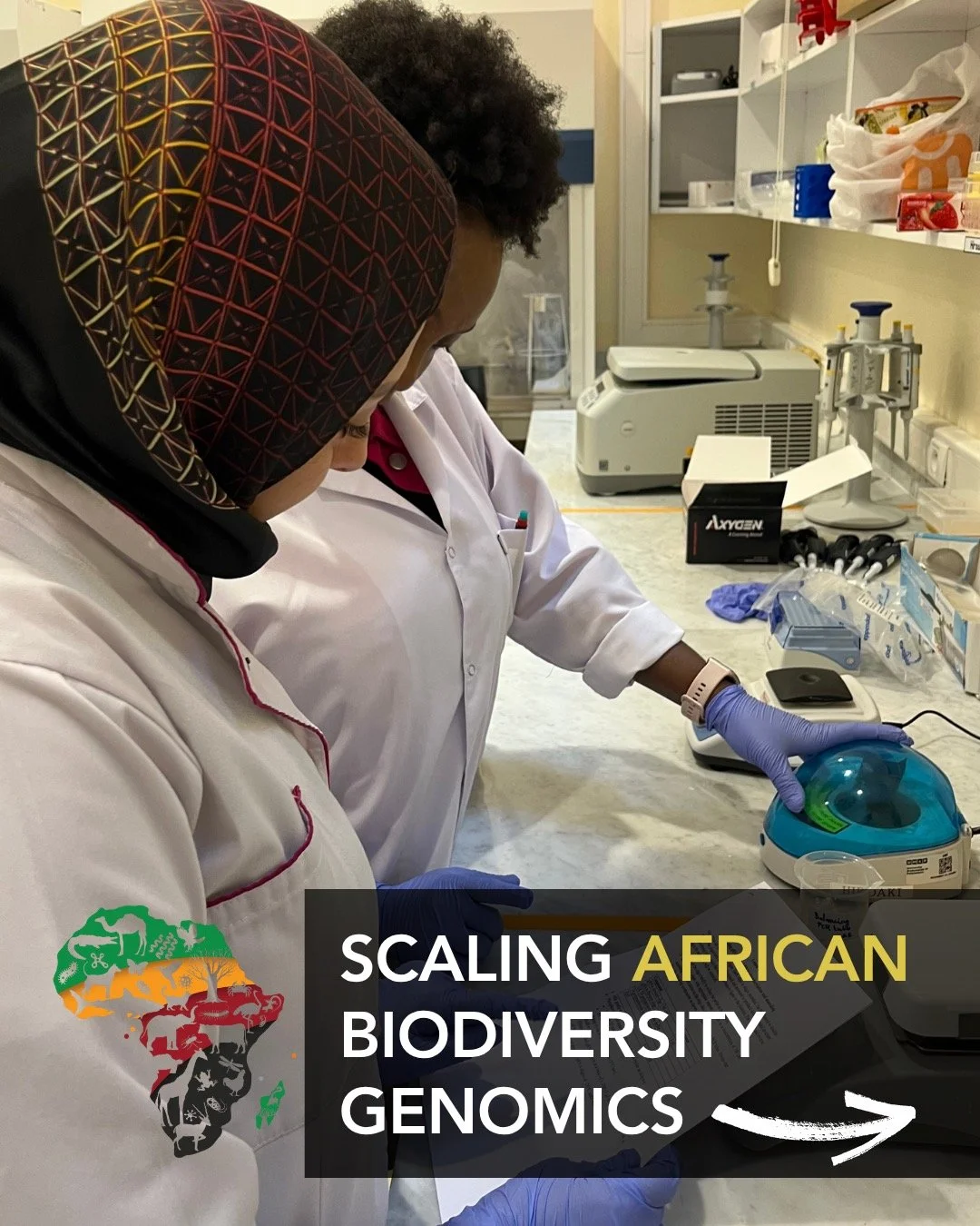 What does it take to scale African biodiversity genomics in a way that is African-led, African-based, and centered on Africa&rsquo;s extraordinary biodiversity? 🌍🧬
A new AfricaBP publication explores exactly that&mdash;highlighting the policy, infr