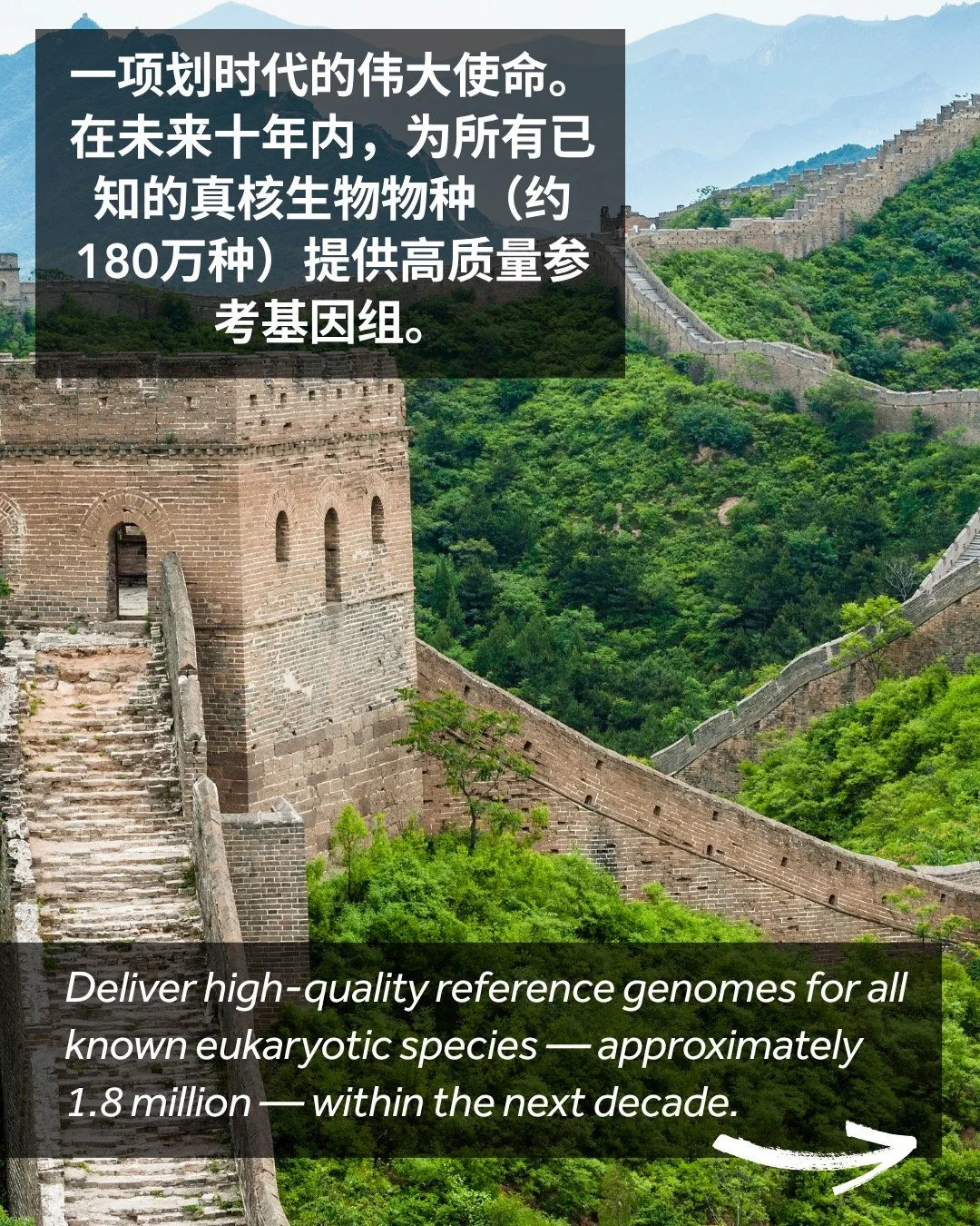 解码生命多样性，守护地球未来。中国在推动生物多样性基因组学发展中发挥着重要作用，EBP相关联盟项目正为生命之树上的植物、原生生物和动物开展基因组测序，共同推进这一属于全球、也属于未来的使命。🌍🧬
Decoding biodiversity, protecting Earth&rsquo;s future. China has a vital role to play in advancing biodiversity genomics, and EBP-affiliated initiati