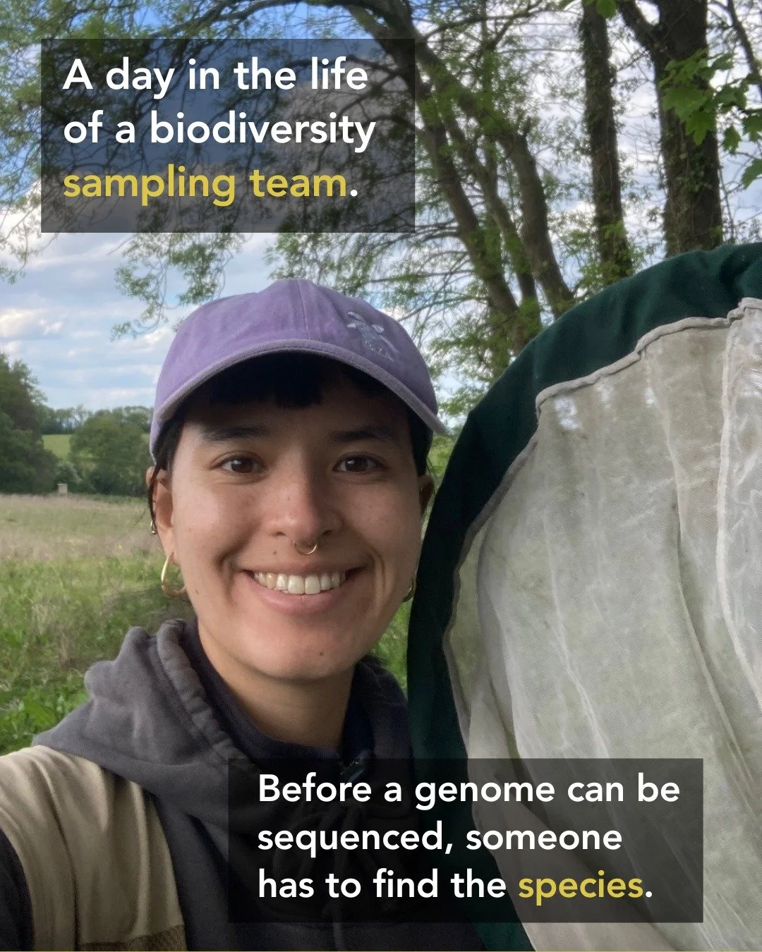 🦋🌿 A day in the life of a biodiversity genomics sampling team
Before any genome can be assembled, a species first needs to be located, identified, collected, preserved, and processed &mdash; often under highly time-sensitive field conditions.
It st