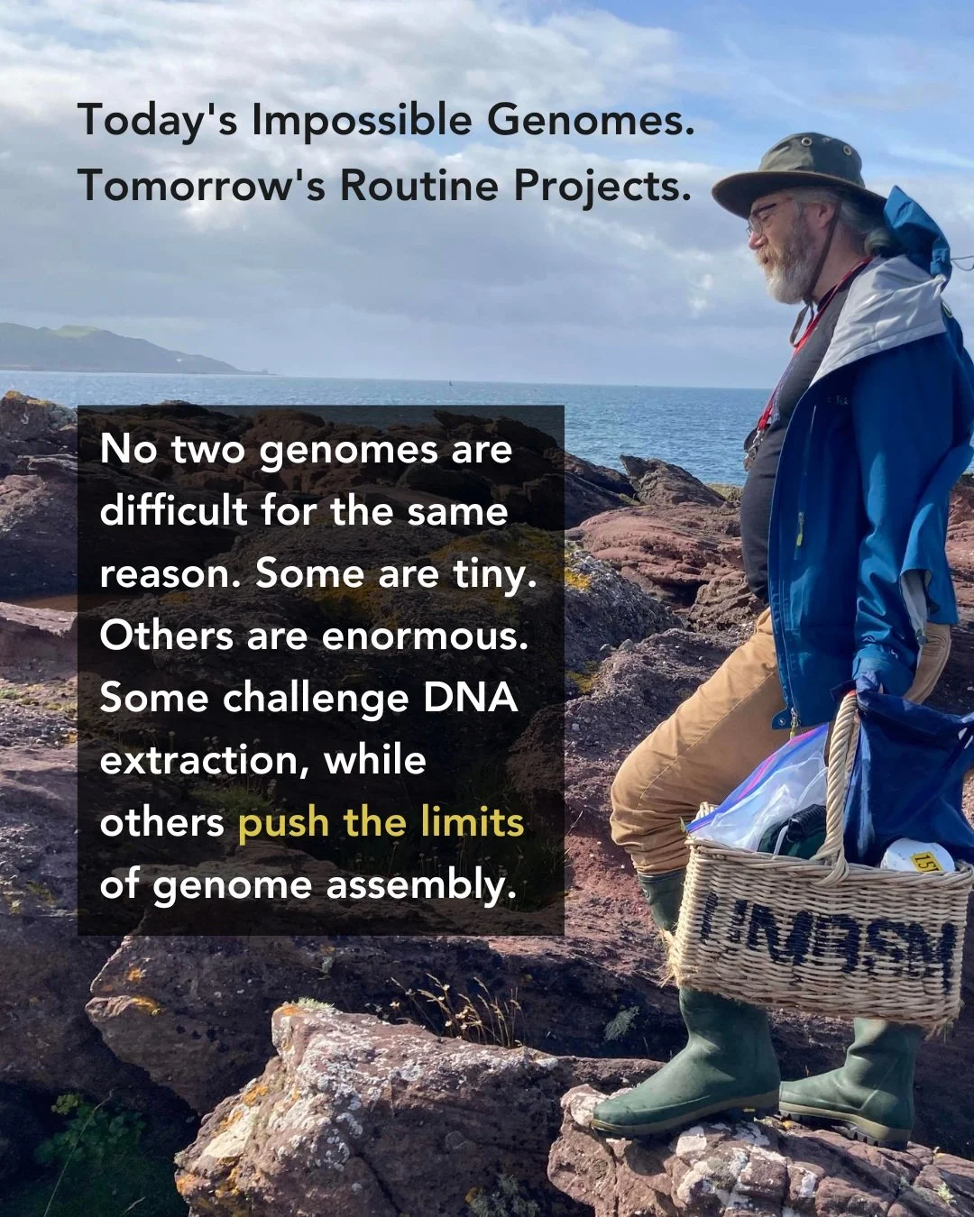 🧬 Today's impossible genomes are tomorrow's routine projects.

The hardest genomes aren't defined by a single challenge.

Some are tiny. Others are enormous. Some resist DNA extraction. Others push the limits of sequencing, assembly, or annotation. 
