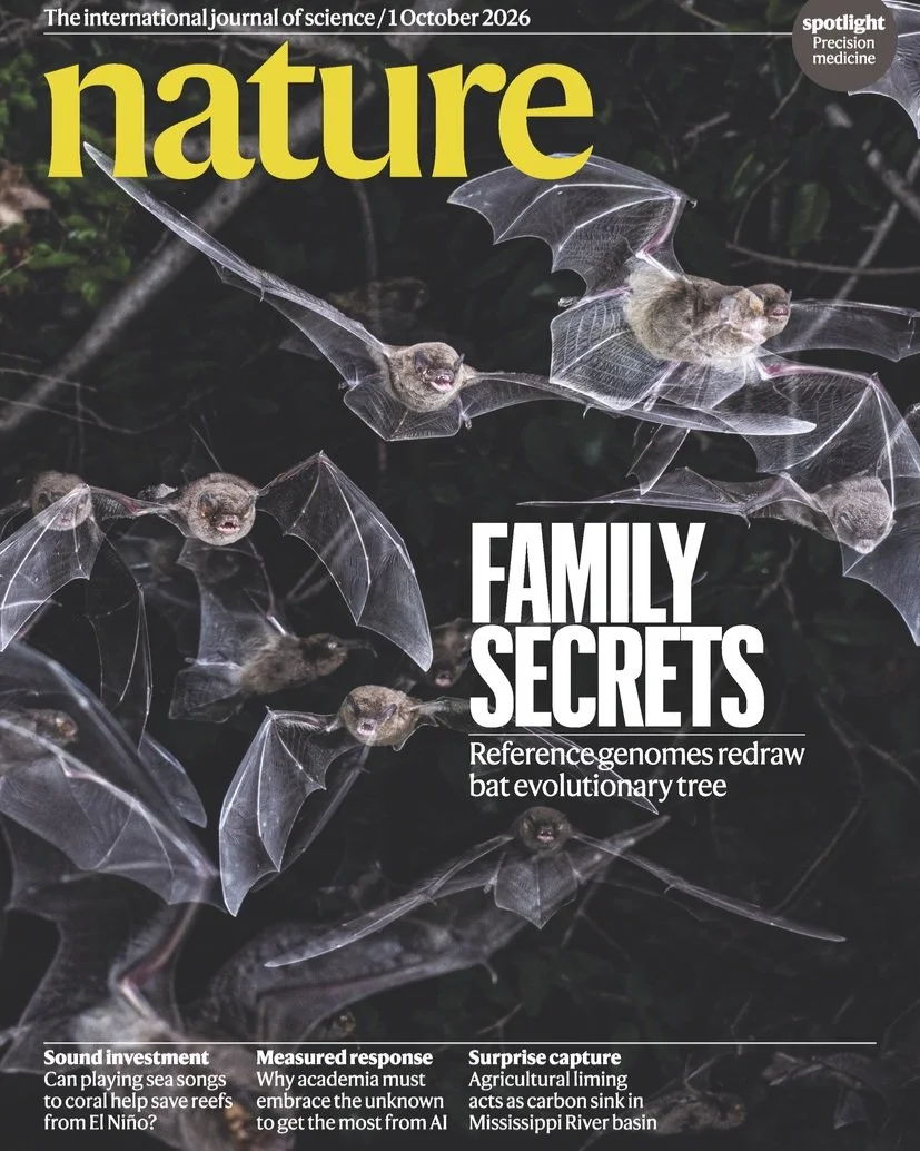 🦇 Bat1K takes the cover of Nature!

A landmark study from the EBP-affiliated Bat1K team brings together 103 chromosome-level reference genomes spanning all 21 living bat families, including 42 newly generated assemblies.

These reference genomes are