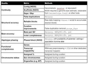 Report on Assembly Standards (Copy) — Earth BioGenome Project