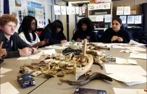 artclass3-300x192.jpg